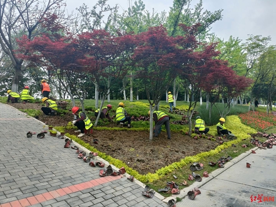 天府黃、錦官橙、太陽神鳥 成都三環路換上了新裝你注意到了嗎