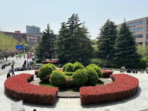 這三位 明星 ,你一定見過