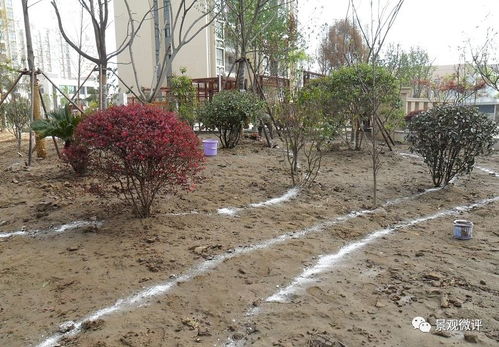 現(xiàn)場 微地形堆坡及綠化種植工藝標(biāo)準(zhǔn)