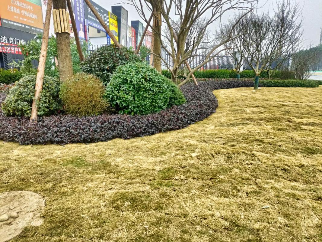 園林綠化工程 #施工現(xiàn)場實拍 #記錄在工地上的日子 #踏實