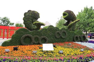 美 今年城區(qū)實施園林綠化工程15項,這些地方風景如畫